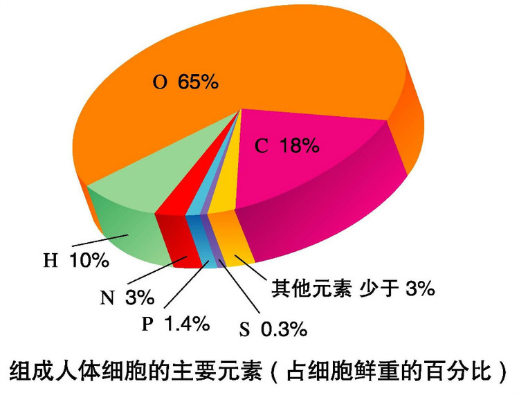 细胞中的元素和化合物_细胞元素百分比