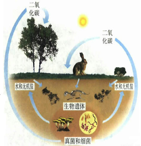 net附件:无资源详情相关资源作者介绍生物教研组2身份:老师地区:学校